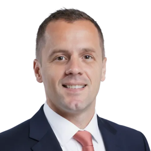 Aldin Velic