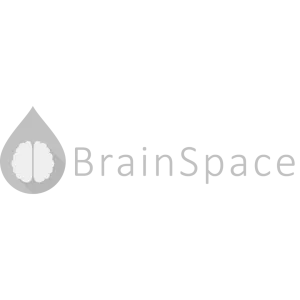 BrainSpace