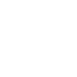 Vantis Vascular