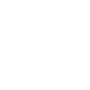 Vivo Surgical