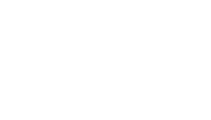 Pedra Technology